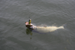 Barca-de-pesca-Barca-de-aluminio-Barca-de-fondo-plano-200