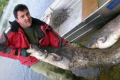 Barca-de-pesca-Barca-de-aluminio-Barca-de-fondo-plano-203