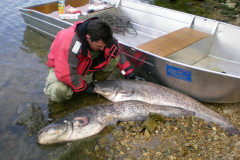 Barca-de-pesca-Barca-de-aluminio-Barca-de-fondo-plano-208
