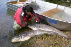 Barca-de-pesca-Barca-de-aluminio-Barca-de-fondo-plano-210